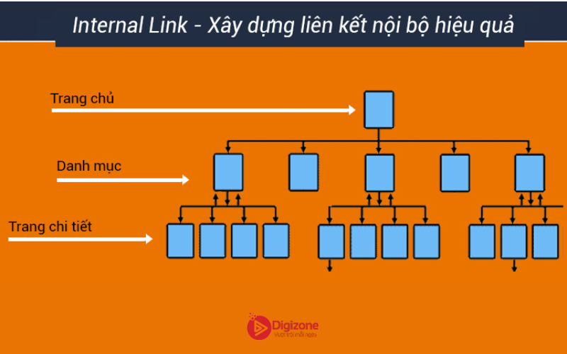 Internal Link và External Link khác nhau như thế nào?