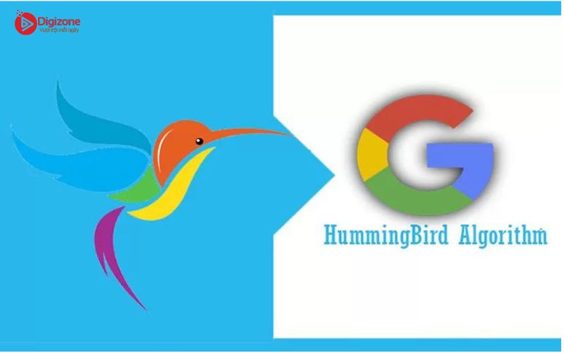 Ảnh hưởng của thuật toán Hummingbird đối với SEO Website