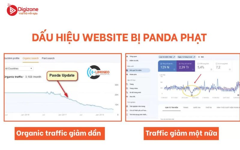 Cách nhận biết website bị Panda phạt